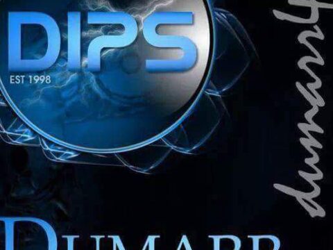 Dumarr International logo