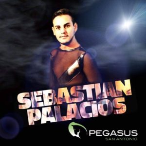 Sebastian Palacios Foxx